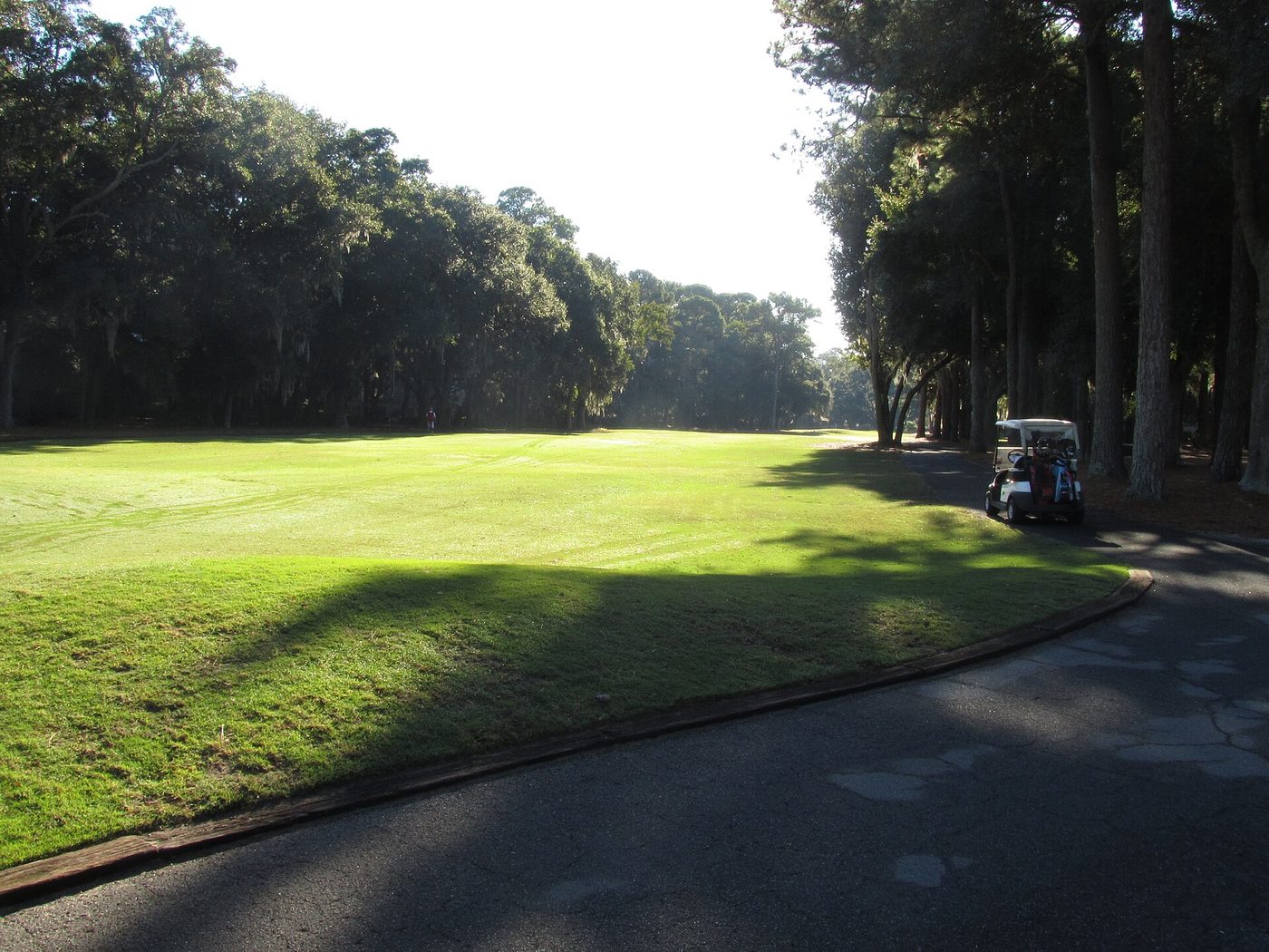 A narrow fairway framed by live oaks and pines at Harbour Town Golf Links on Hilton Head Island