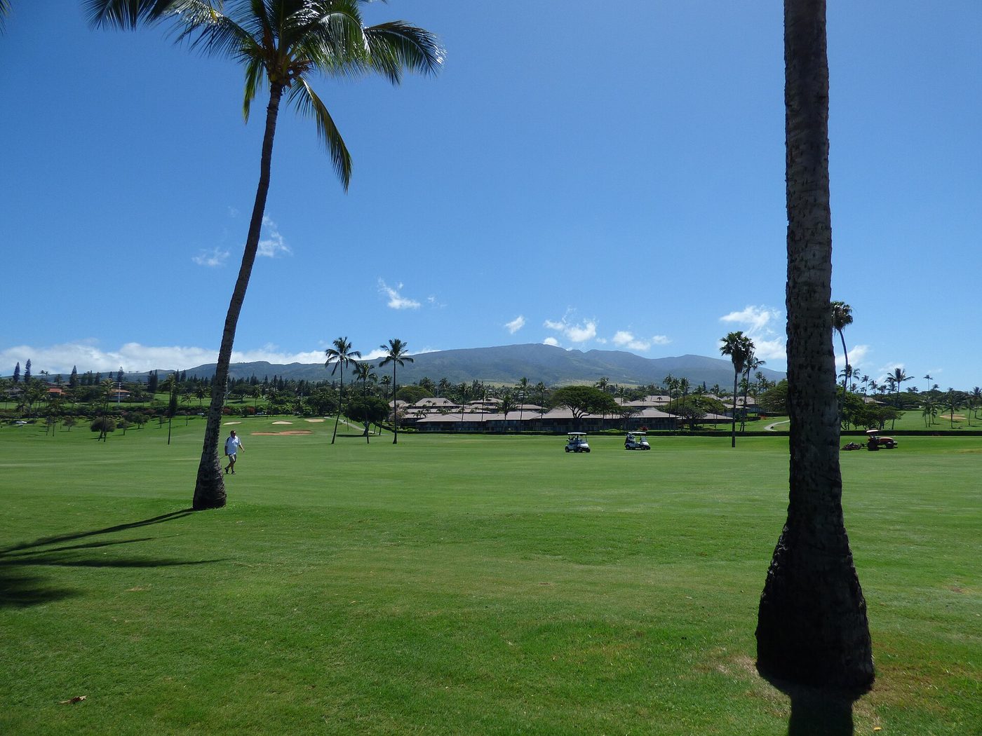 Palm-lined fairway at Ka'anapali on Maui with golf carts and the West Maui Mountains behind