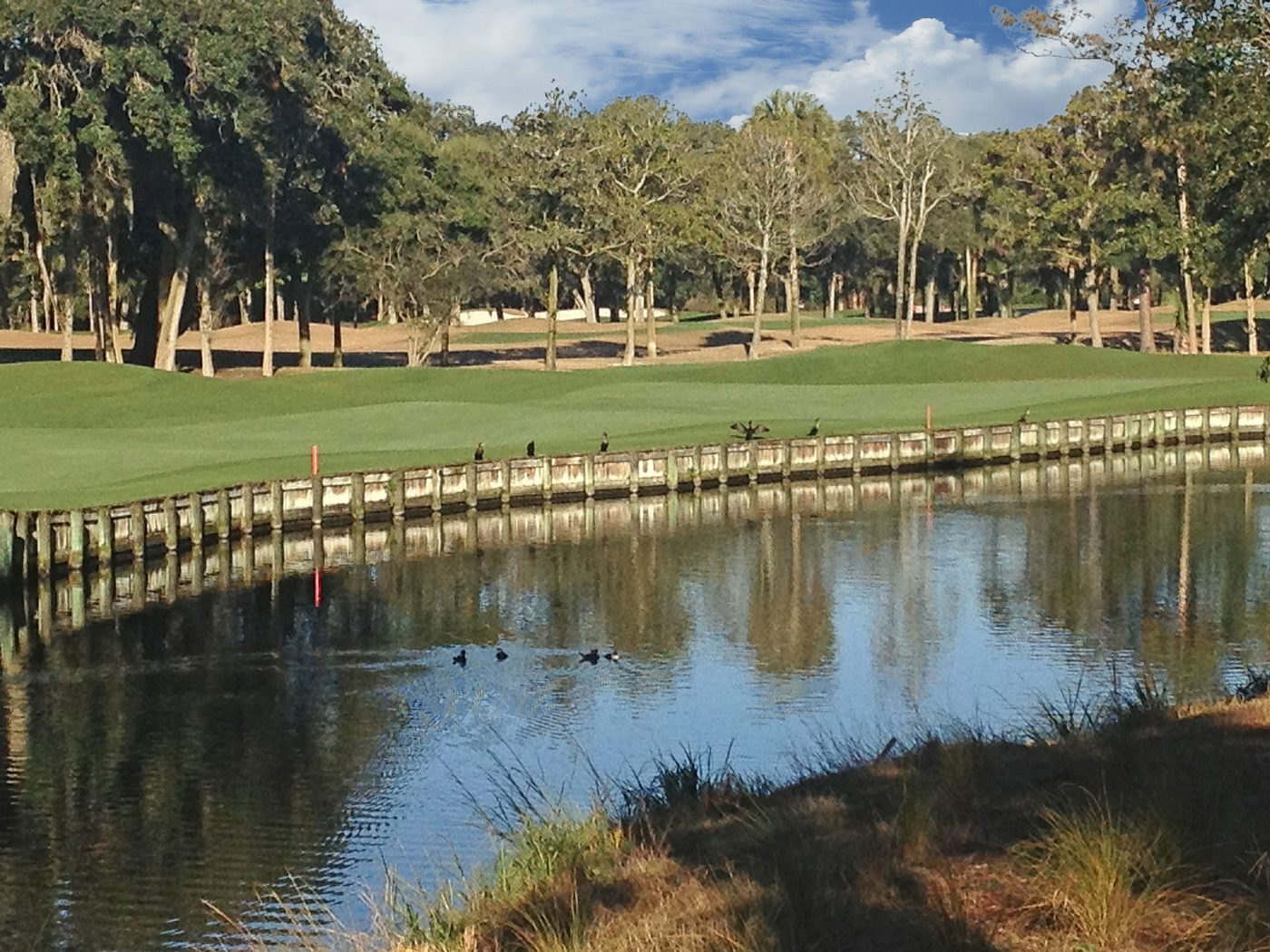 A green behind a wooden bulkhead above a pond at Kiawah Island Golf Resort, with live oaks behind