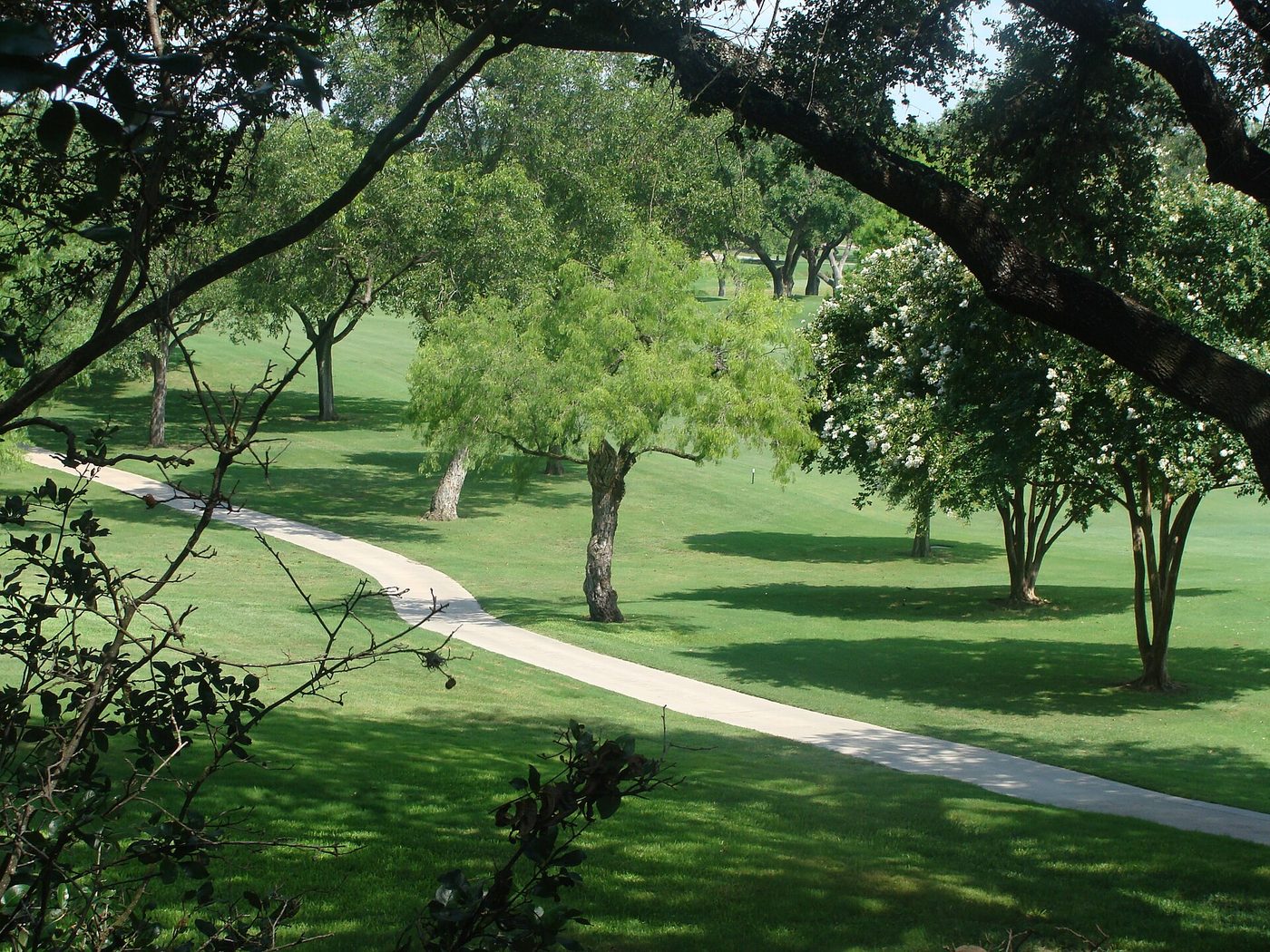 Oak trees and a cart path along a fairway at Oak Hills Country Club in San Antonio