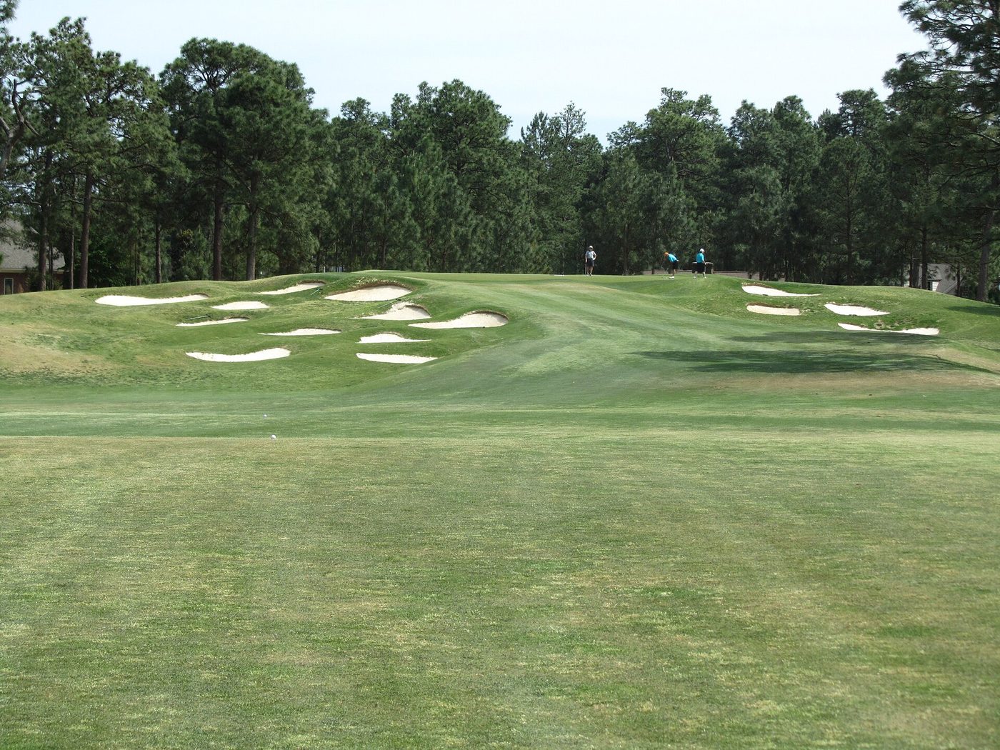 Fairway bunkers cut into a rise on Pinehurst No. 4 with longleaf pines behind