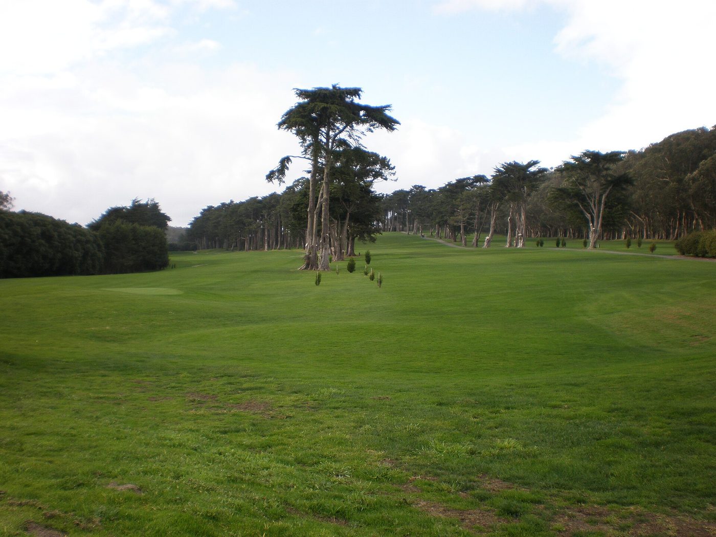 A cypress-lined fairway at the Presidio Golf Course in San Francisco