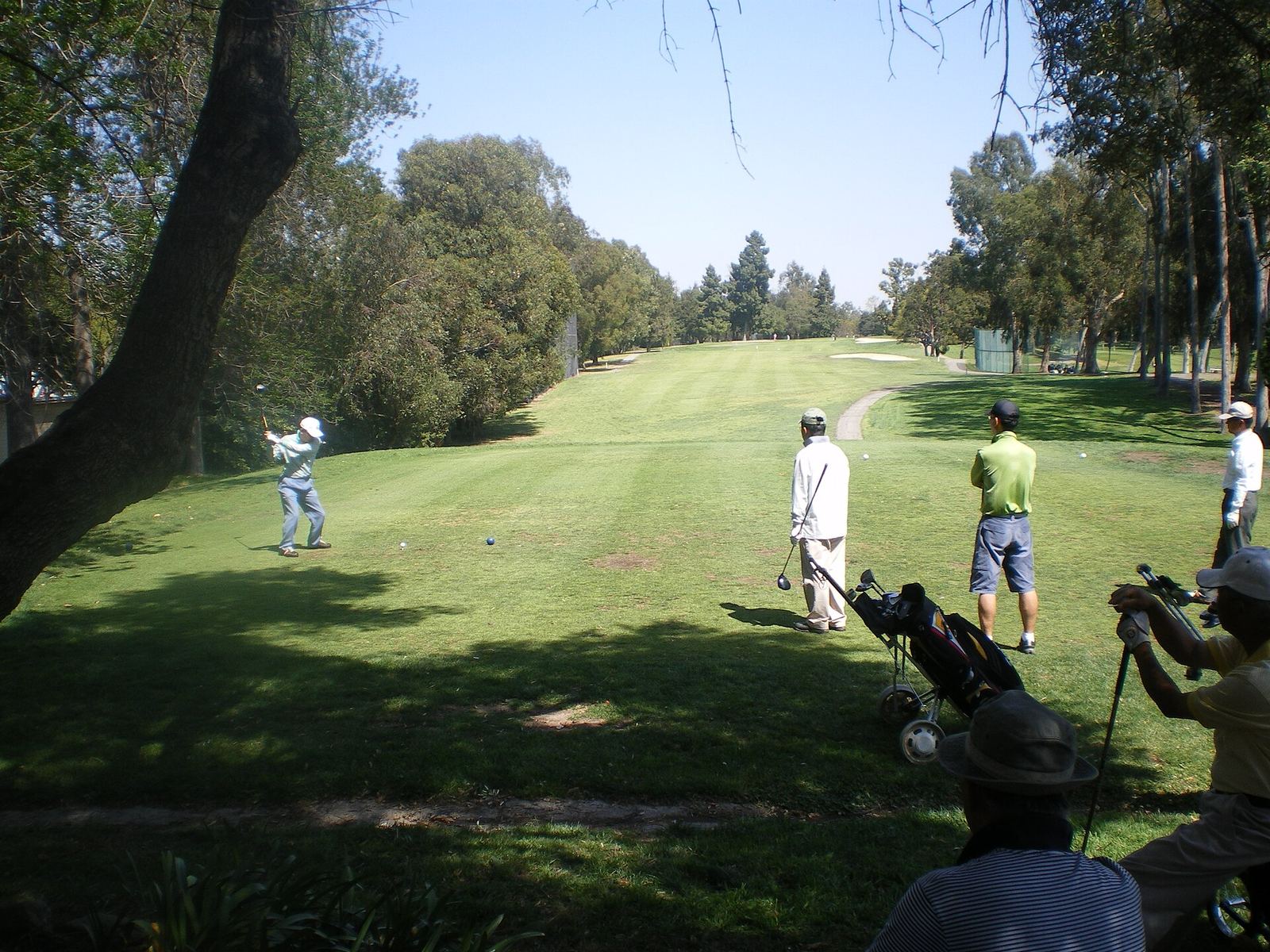 How Much Does a Round of Golf Cost? Real 2026 Green Fees, From City Munis to Pebble Beach