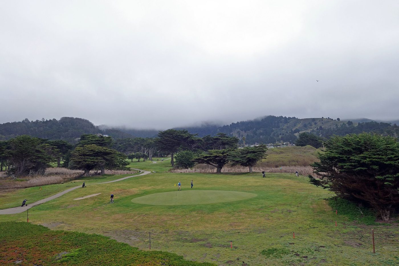 Golfers on a green among cypress trees at Sharp Park Golf Course in Pacifica under low coastal fog