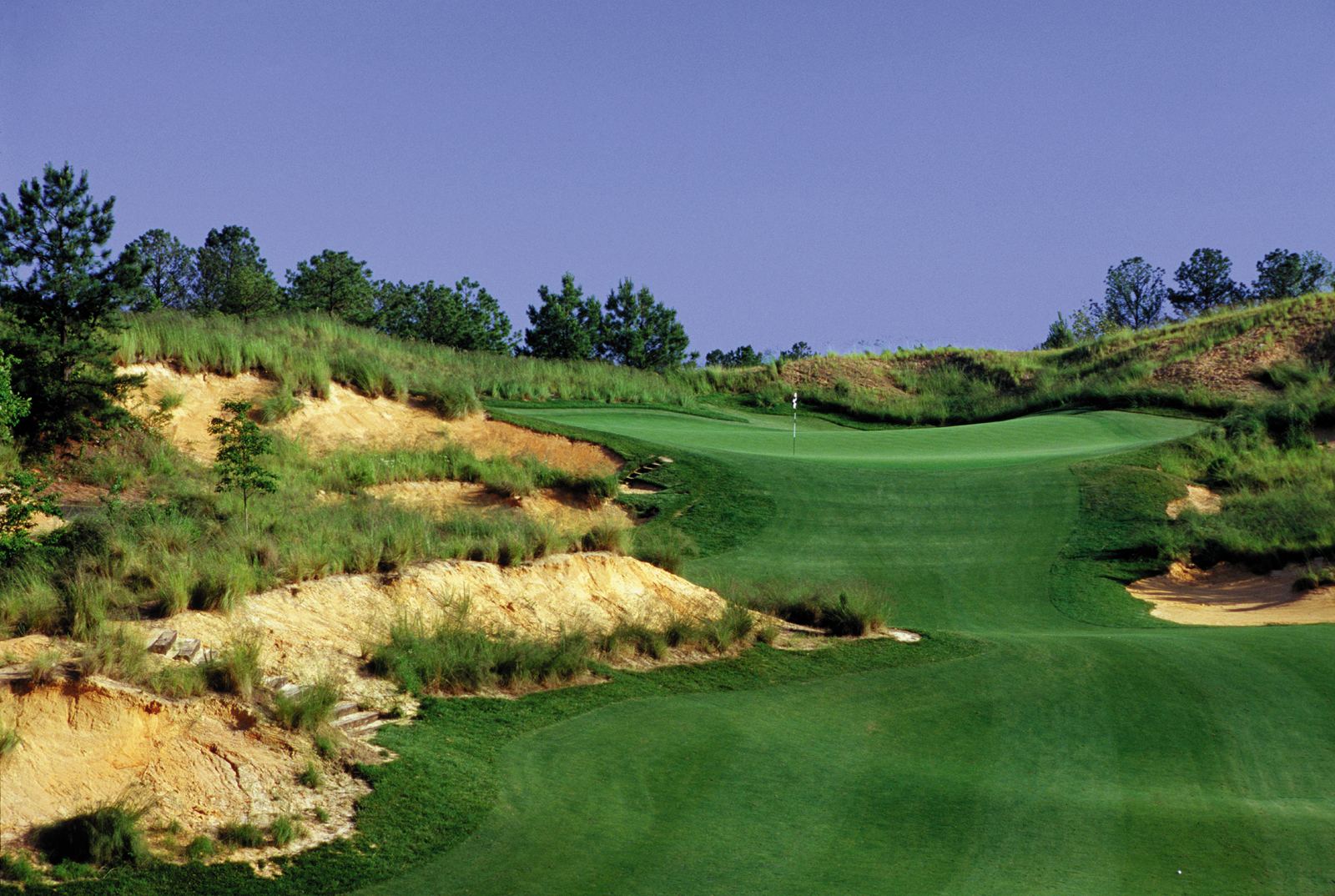 The 16th hole at Tobacco Road Golf Club, with sandy waste areas and pines framing the green, one of the best golf courses in North Carolina you can book