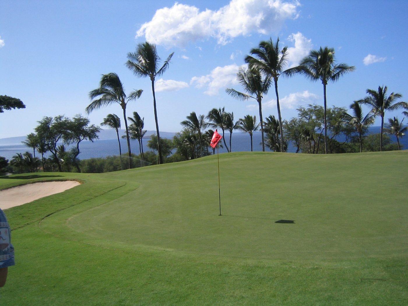 A green framed by coconut palms with the ocean behind on the Wailea Gold Course on Maui
