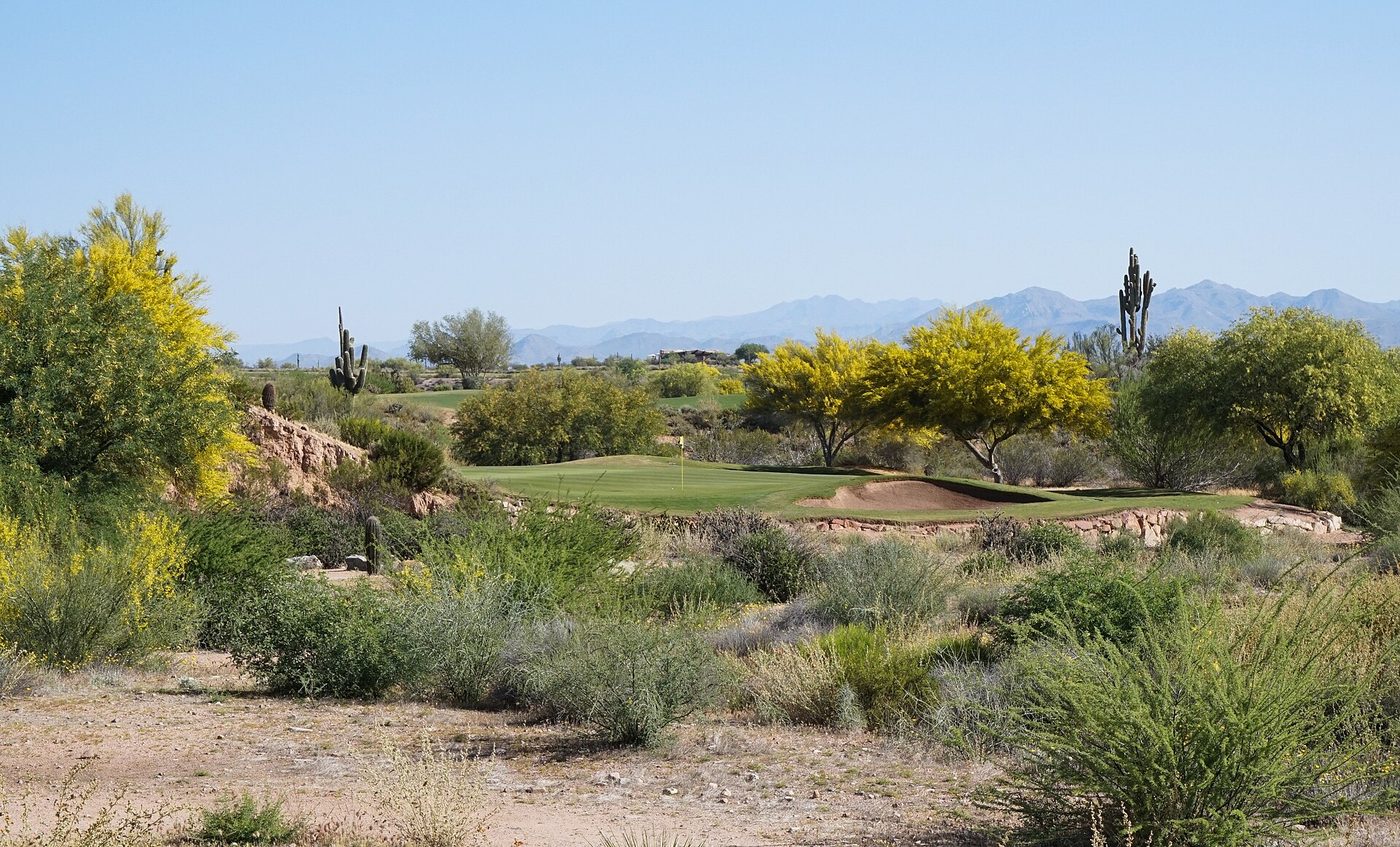 Flowering palo verde trees and desert scrub around a green on the third hole of We-Ko-Pa's Cholla Course