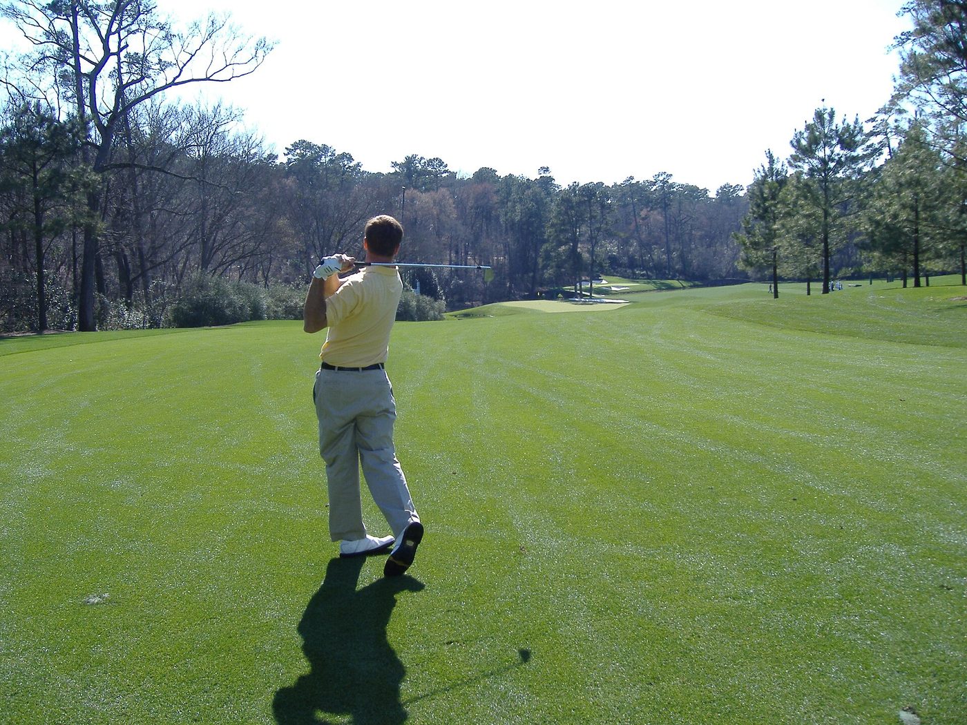 A golfer hitting a long iron down the 11th fairway at Augusta National toward the green and the pines of Amen Corner