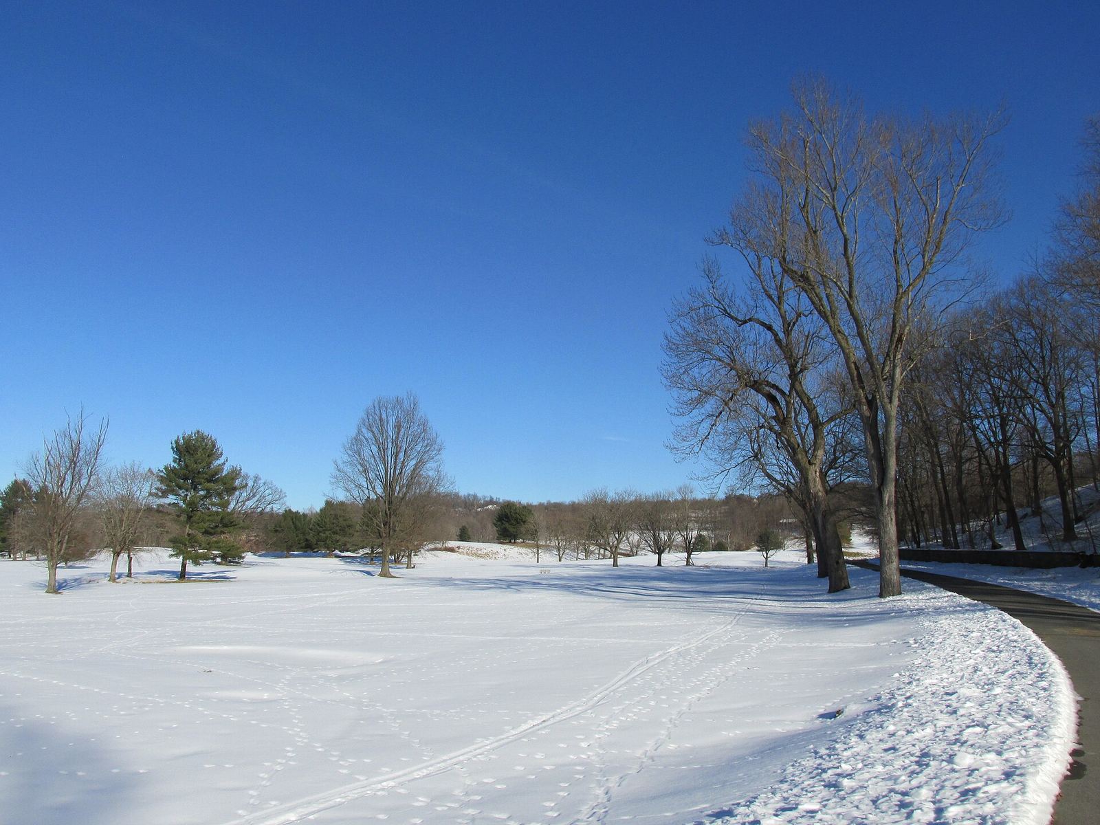 Winter Rules Golf: How Preferred Lies Work, When They Apply and What They Mean for Your Handicap