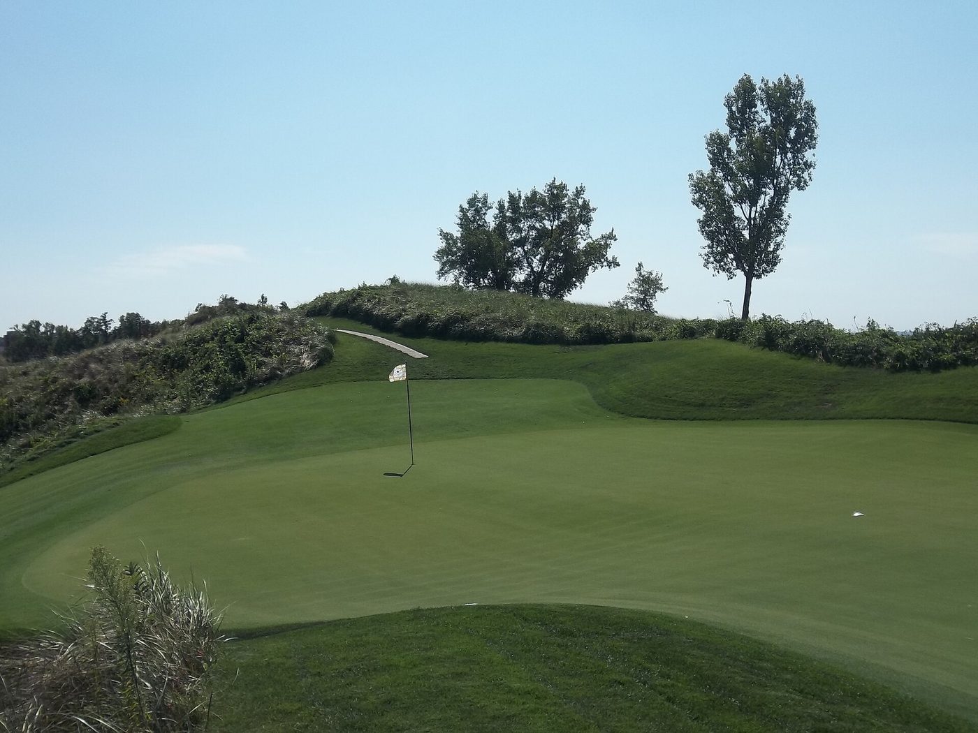 The seventh green at The Golf Club at Harbor Shores in Benton Harbor, set below a ridge of dune grass and trees