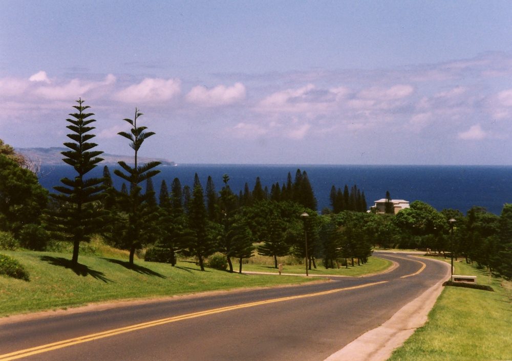 A road lined with Cook pines in Kapalua running down toward the ocean, with the island of Molokai on the horizon