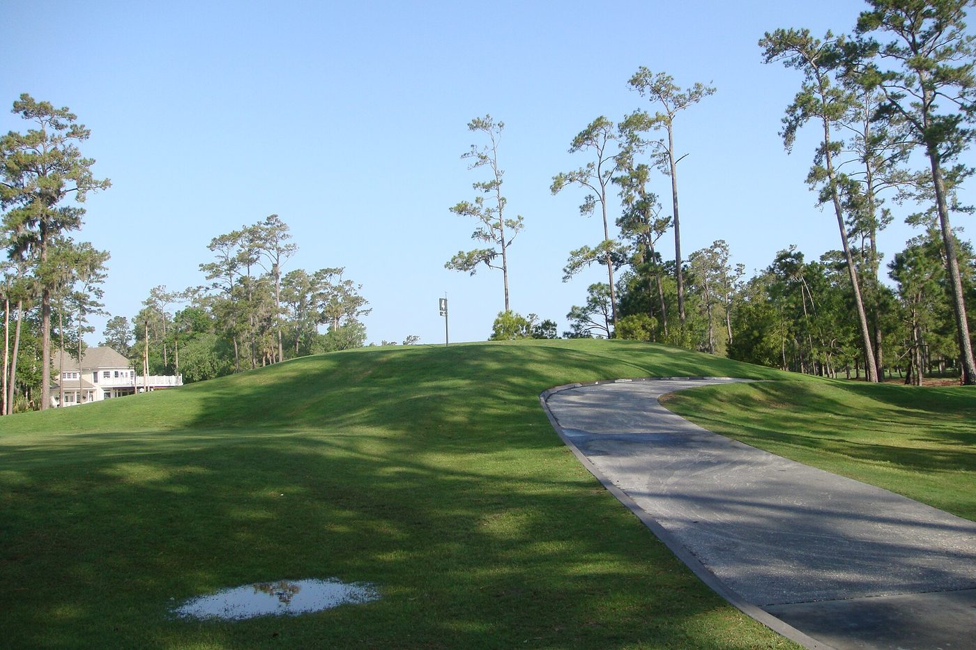 A tall grassed mound beside a curving cart path at TPC Sawgrass, with pines and a house behind