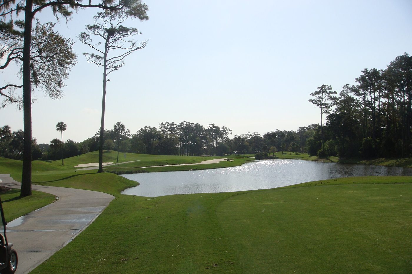 A lake running along a fairway at TPC Sawgrass, with a cart path, pines and palms on a sunny morning